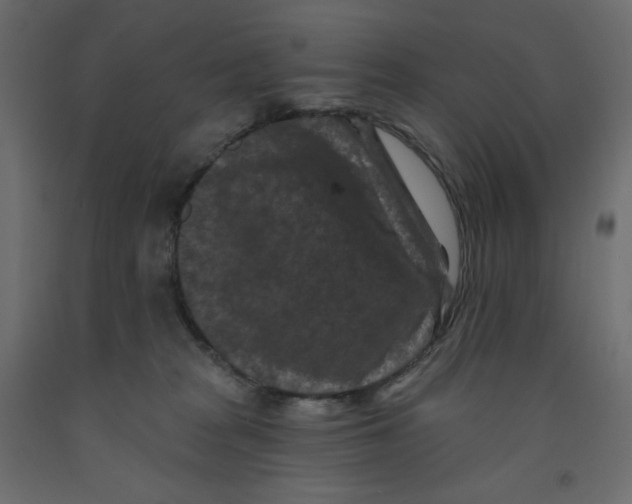 X0000091950277200710041014