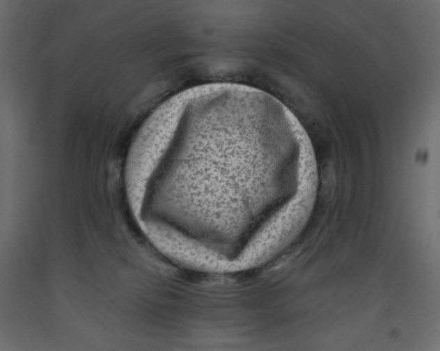 X0000091950278200710041014