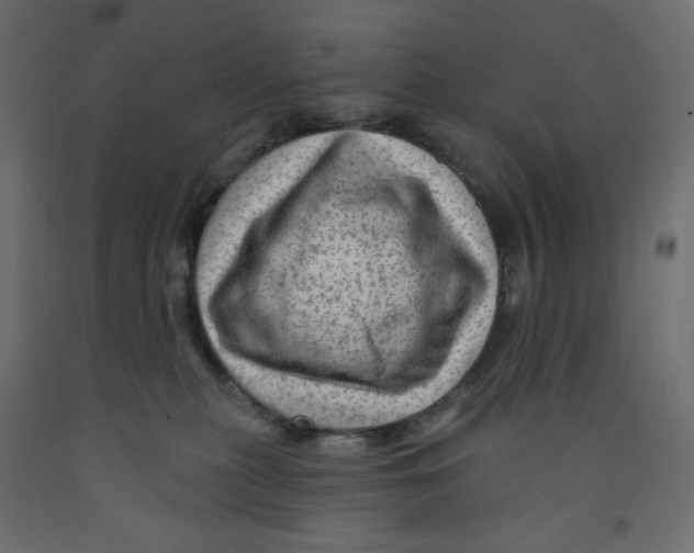 X0000091950279200710041014