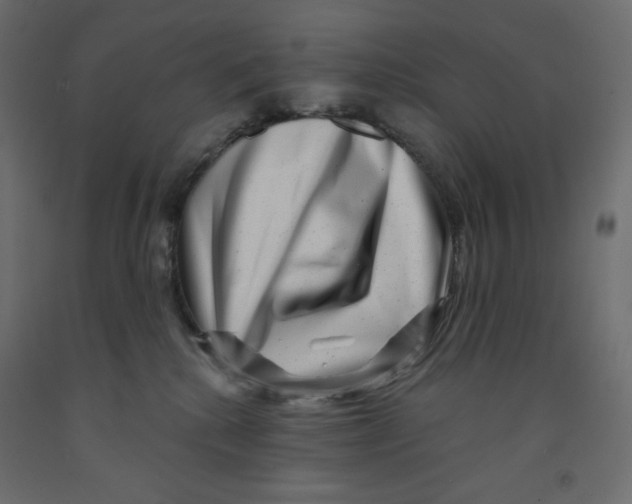 X0000091950280200710041014