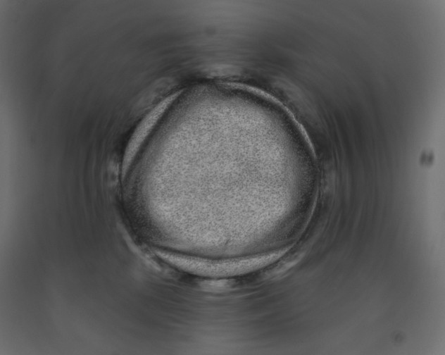 X0000091950281200710041014