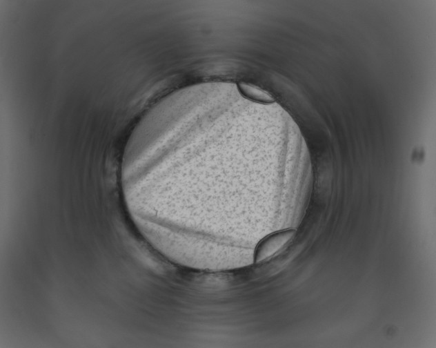 X0000091950282200710041014