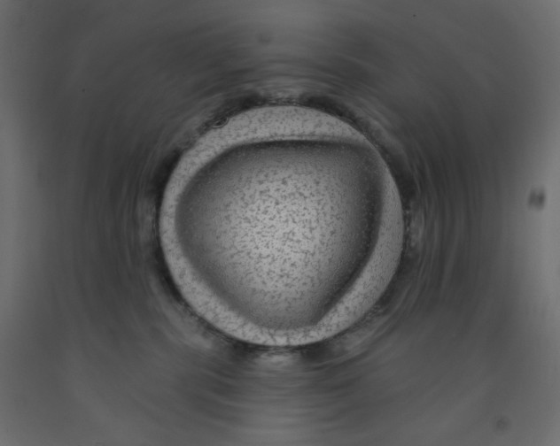 X0000091950283200710041014