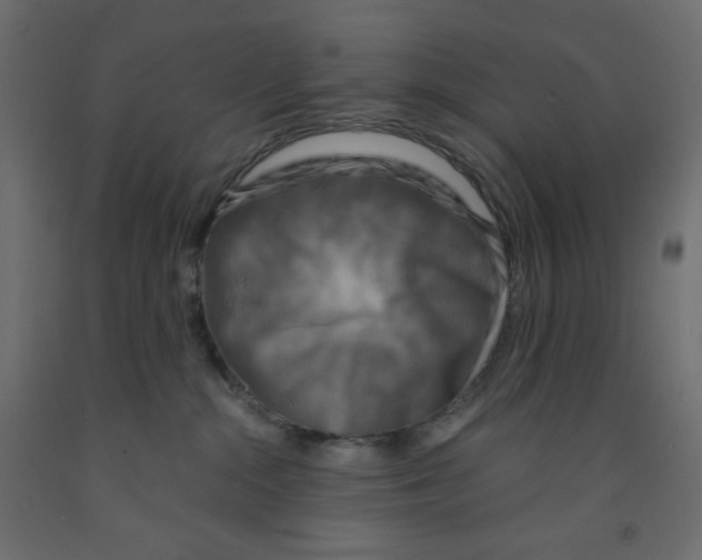 X0000091950284200710041014