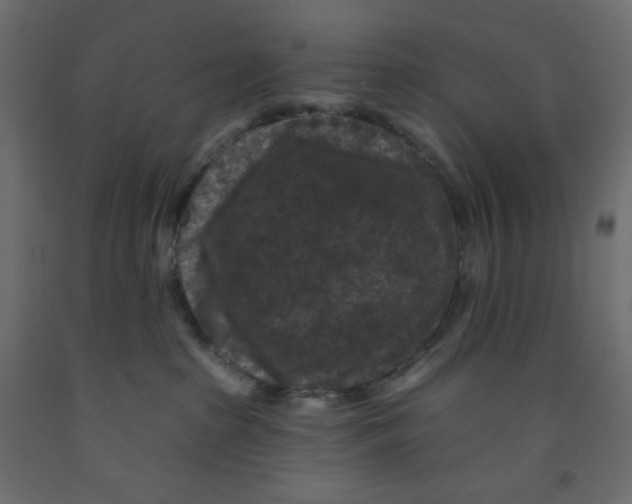 X0000091950285200710041014