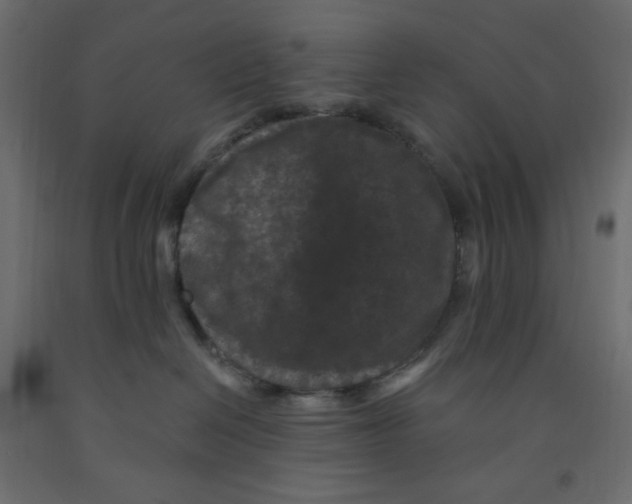 X0000091950286200710041014