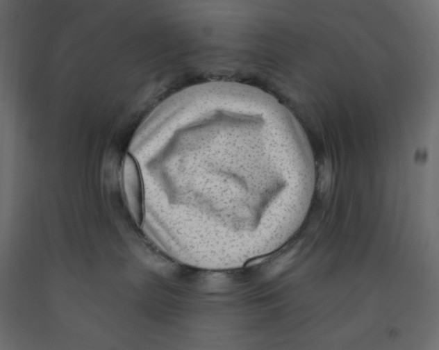 X0000091950287200710041014