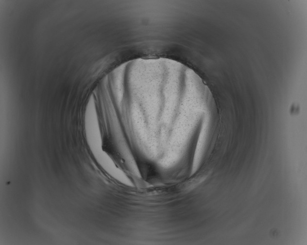 X0000091950288200710041014