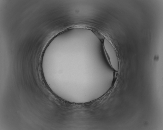 X0000091950289200710041013