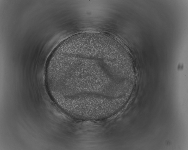 X0000091950290200710041013