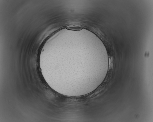 X0000091950291200710041013