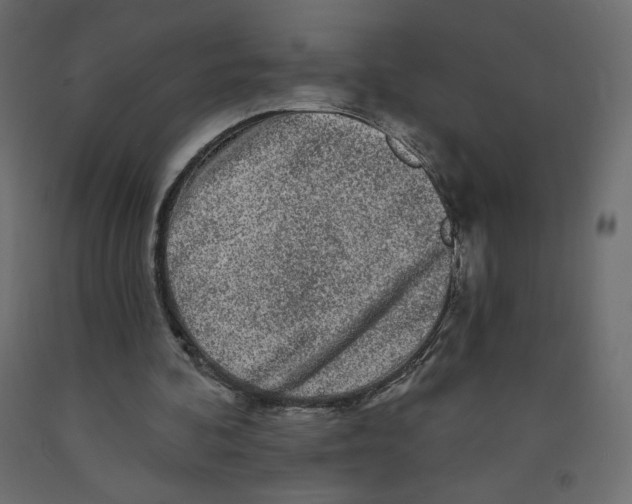 X0000091950292200710041013