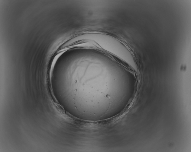 X0000091950293200710041013