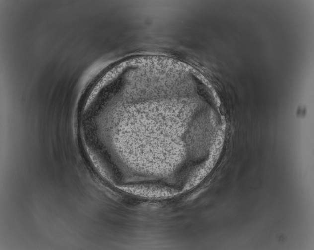 X0000091950294200710041013