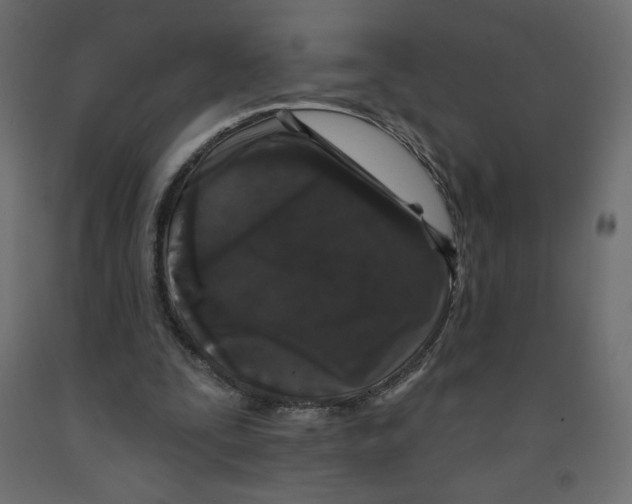 X0000091950295200710041013