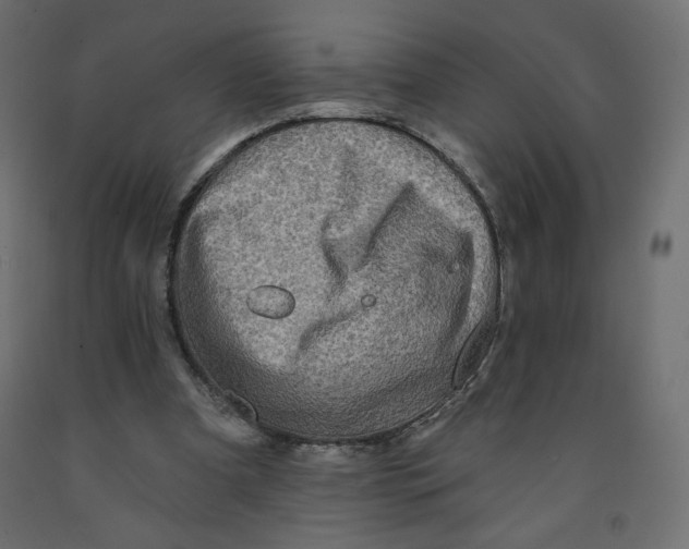X0000091950297200710041013
