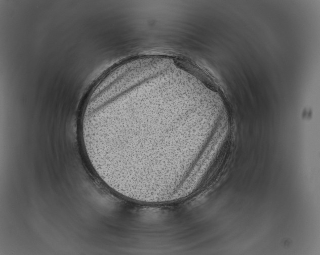 X0000091950298200710041013