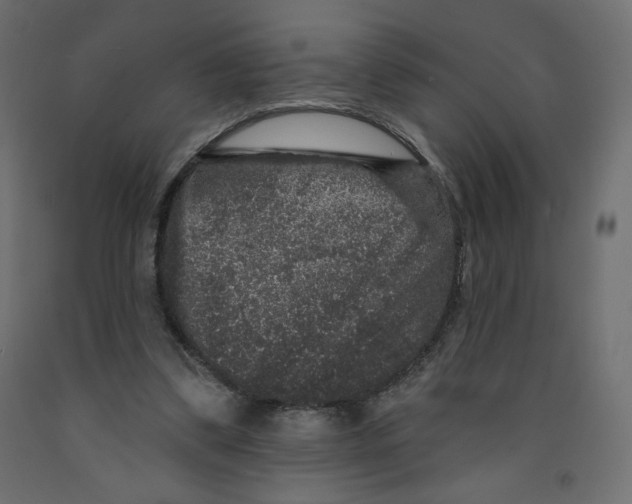X0000091950299200710041013