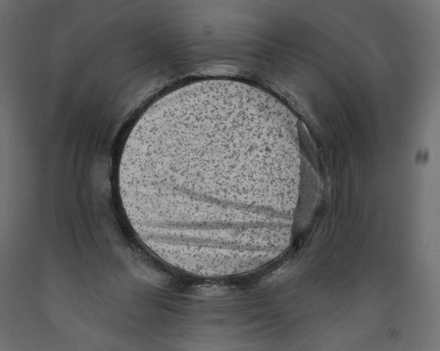 X0000091950300200710041013