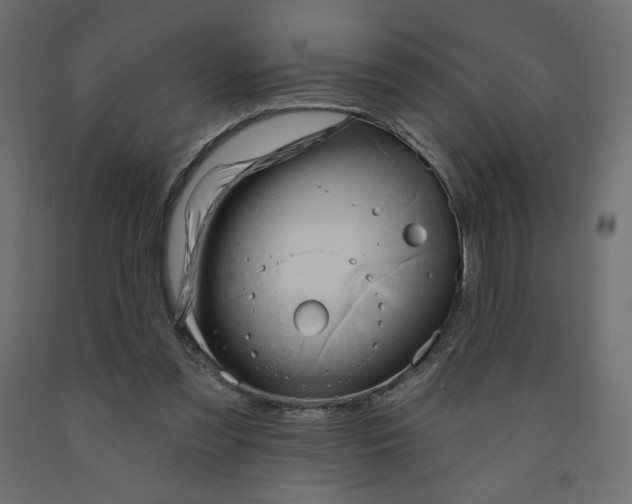 X0000091950301200710041013