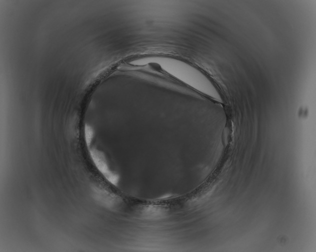 X0000091950303200710041013