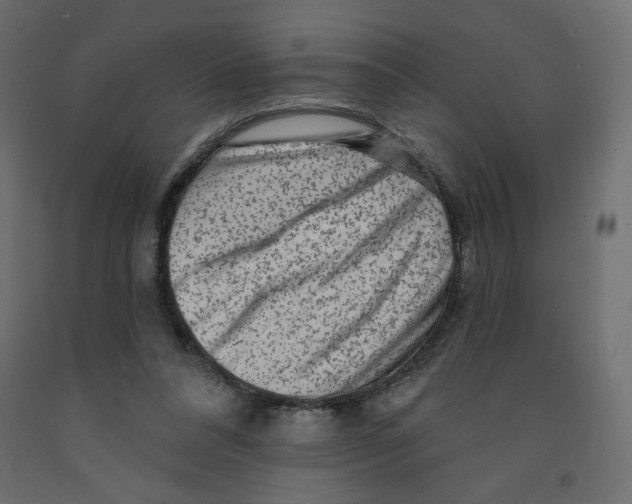X0000091950304200710041013