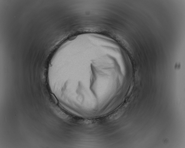 X0000091950305200710041013