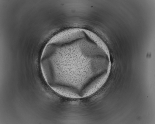 X0000091950306200710041013