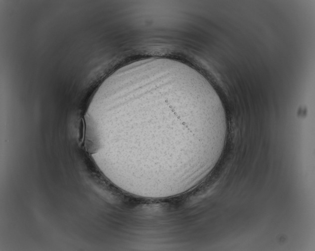 X0000091950307200710041013