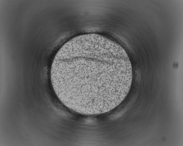 X0000091950308200710041013