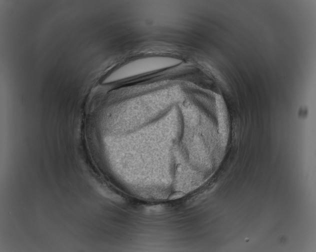 X0000091950309200710041013