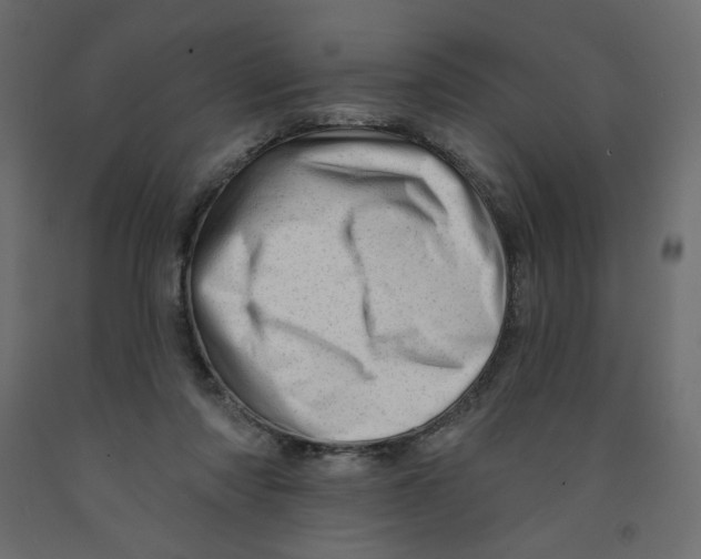 X0000091950310200710041013