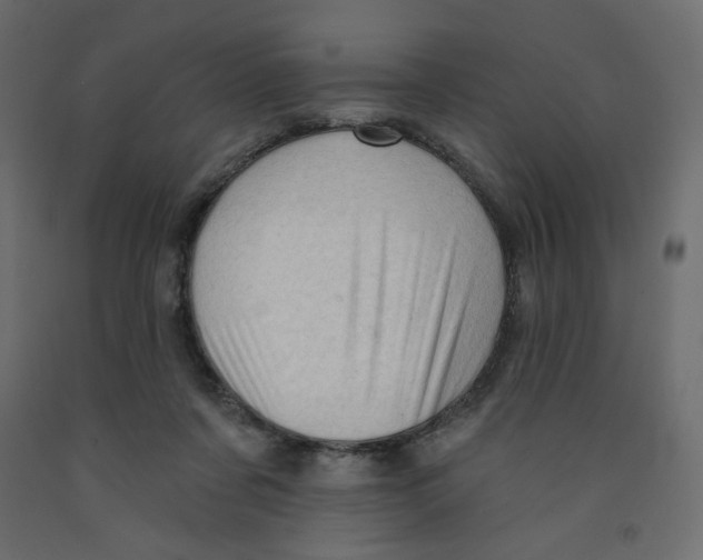 X0000091950311200710041013