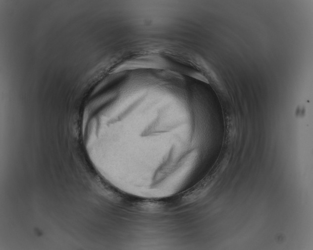 X0000091950313200710041013