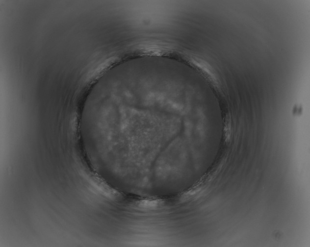 X0000091950314200710041013