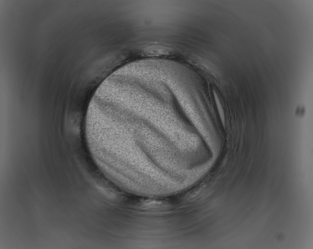 X0000091950315200710041013