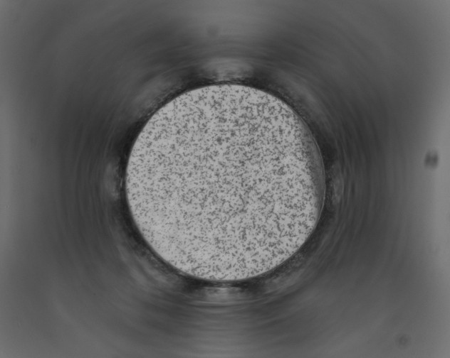 X0000091950316200710041013