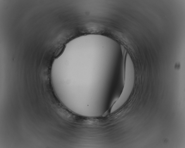 X0000091950317200710041013