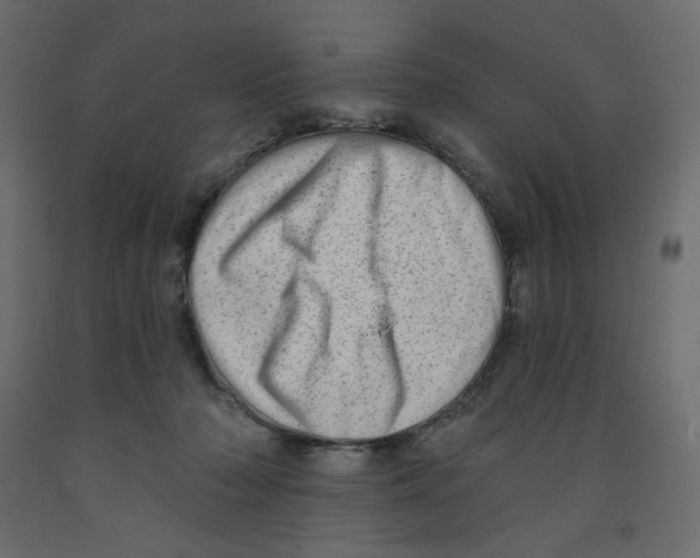 X0000091950318200710041013