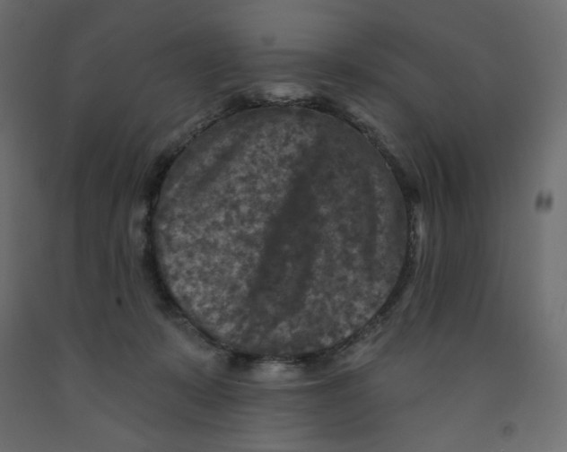 X0000091950319200710041013