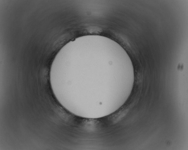 X0000091950321200710041013