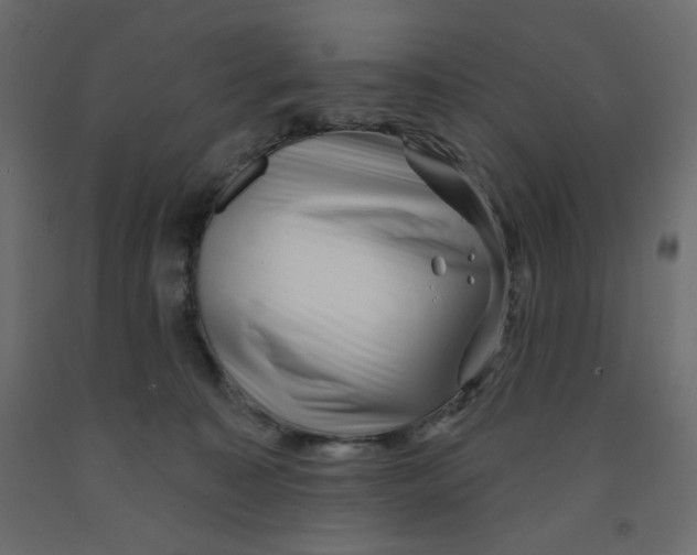 X0000091950323200710041013