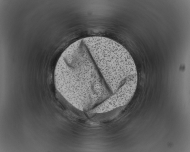 X0000091950324200710041013
