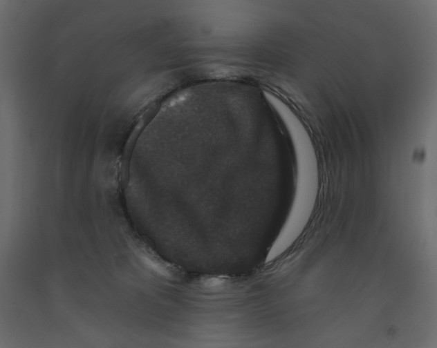 X0000091950325200710041013