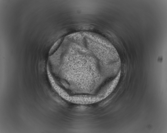 X0000091950326200710041013