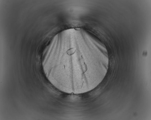X0000091950327200710041013