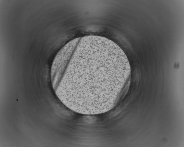 X0000091950328200710041013