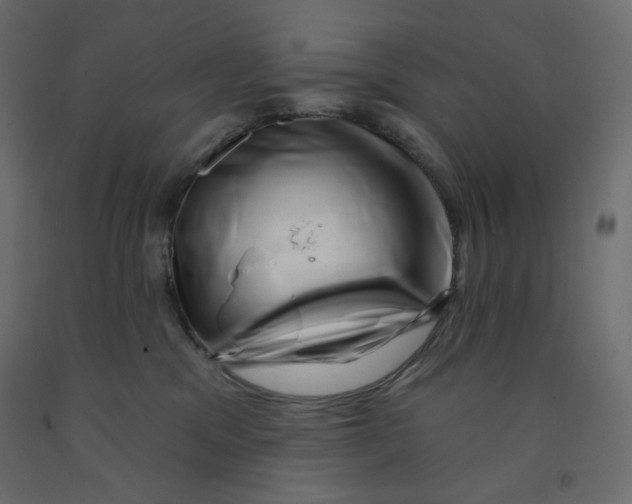 X0000091950329200710041013