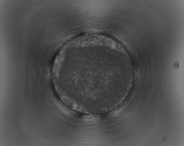 X0000091950331200710041012