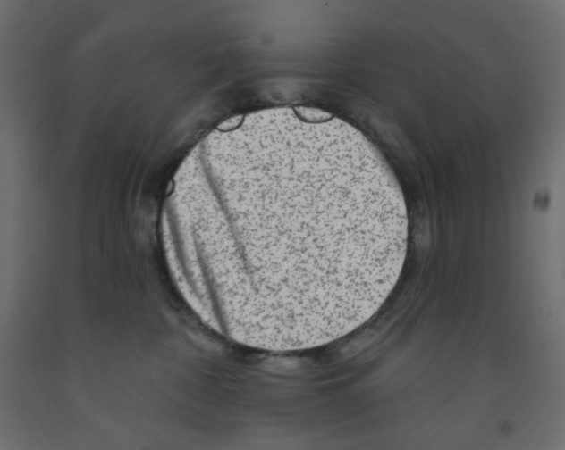 X0000091950332200710041012